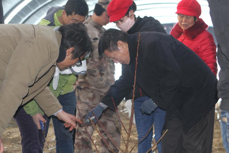 3月14日,天刚蒙蒙亮,一八四团农业技术服务中心的技术员们,就来到一连