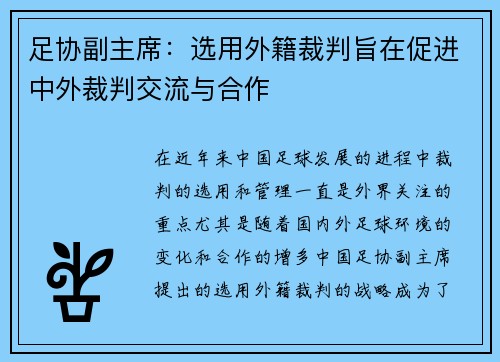 足协副主席：选用外籍裁判旨在促进中外裁判交流与合作