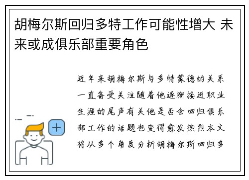 胡梅尔斯回归多特工作可能性增大 未来或成俱乐部重要角色