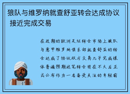 狼队与维罗纳就查舒亚转会达成协议 接近完成交易