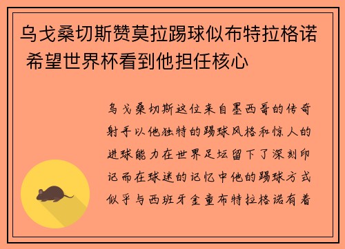 乌戈桑切斯赞莫拉踢球似布特拉格诺 希望世界杯看到他担任核心